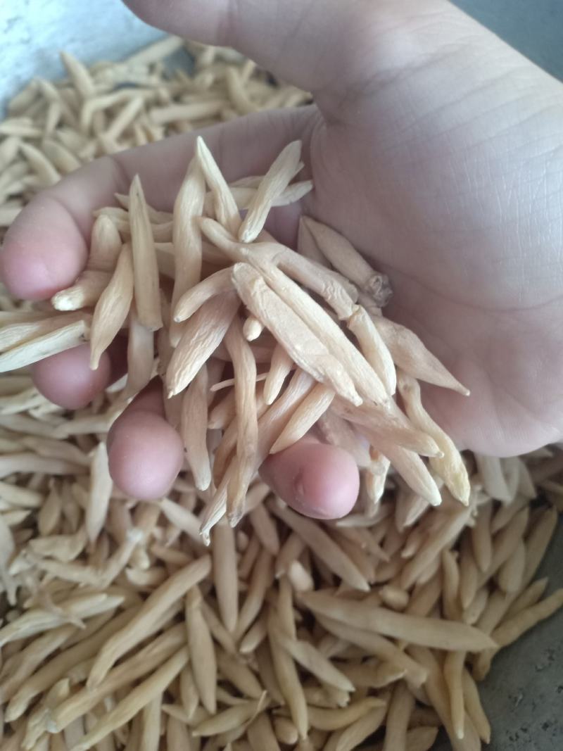 麦冬，山麦冬，山东，新货产地直发实拍现货24小时内发货