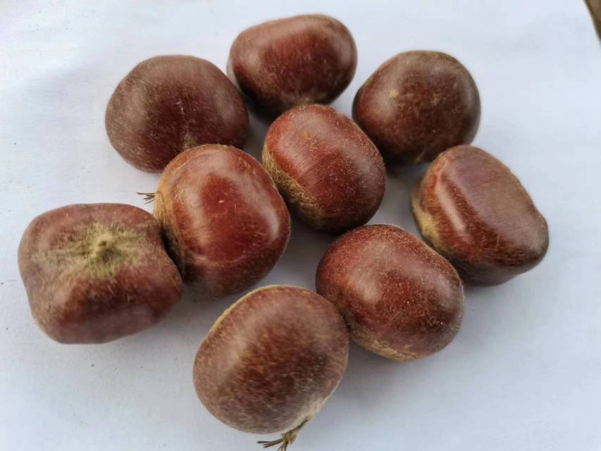 迁西板栗糯米糍成品图