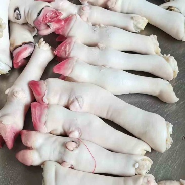 育肥羊蹄
