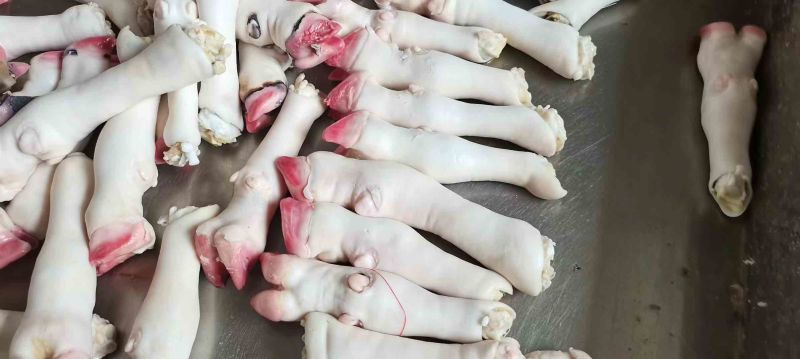 育肥羊蹄