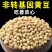 东北古老小黄老品种打豆浆发豆芽非转基因黄金