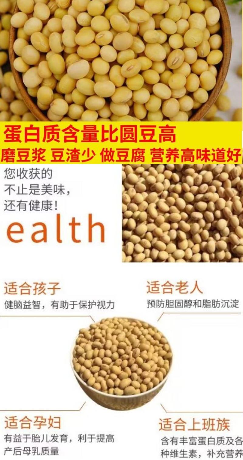 东北古老小黄老品种打豆浆发豆芽非转基因黄金