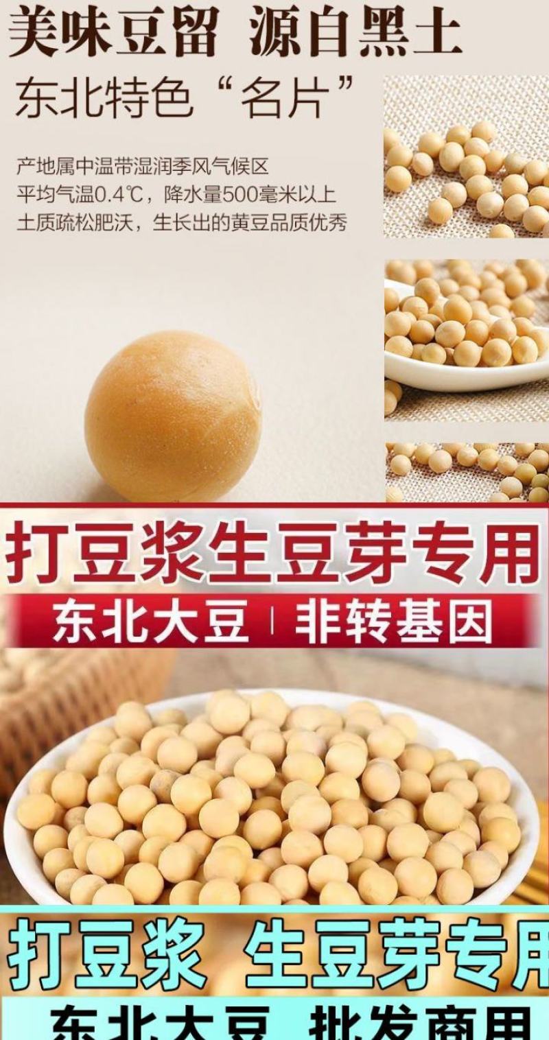 东北古老小黄老品种打豆浆发豆芽非转基因黄金