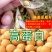 东北古老小黄老品种打豆浆发豆芽非转基因黄金
