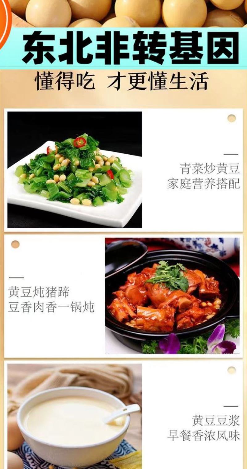 东北古老小黄老品种打豆浆发豆芽非转基因黄金