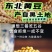 东北古老小黄老品种打豆浆发豆芽非转基因黄金