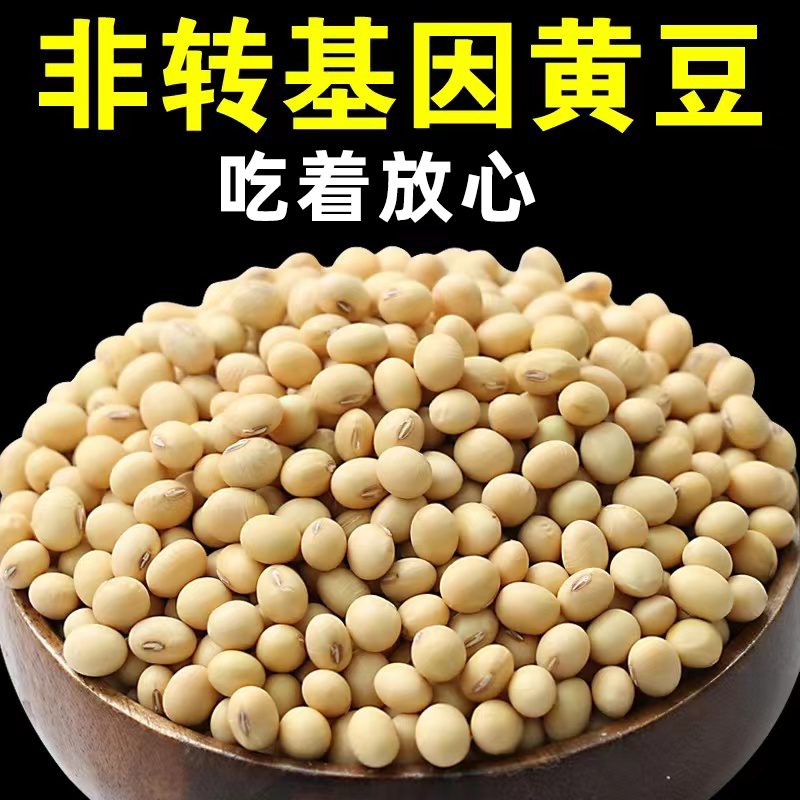 东北古老小黄老品种打豆浆发豆芽非转基因黄金