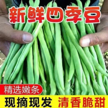 无筋豆四季豆湖北精品四季豆可支持视频打款发货