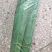 安徽芦苇叶粽叶新品，规格齐全，产地直供一手货源，