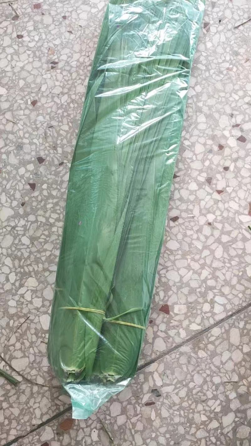 安徽芦苇叶粽叶新品，规格齐全，产地直供一手货源，