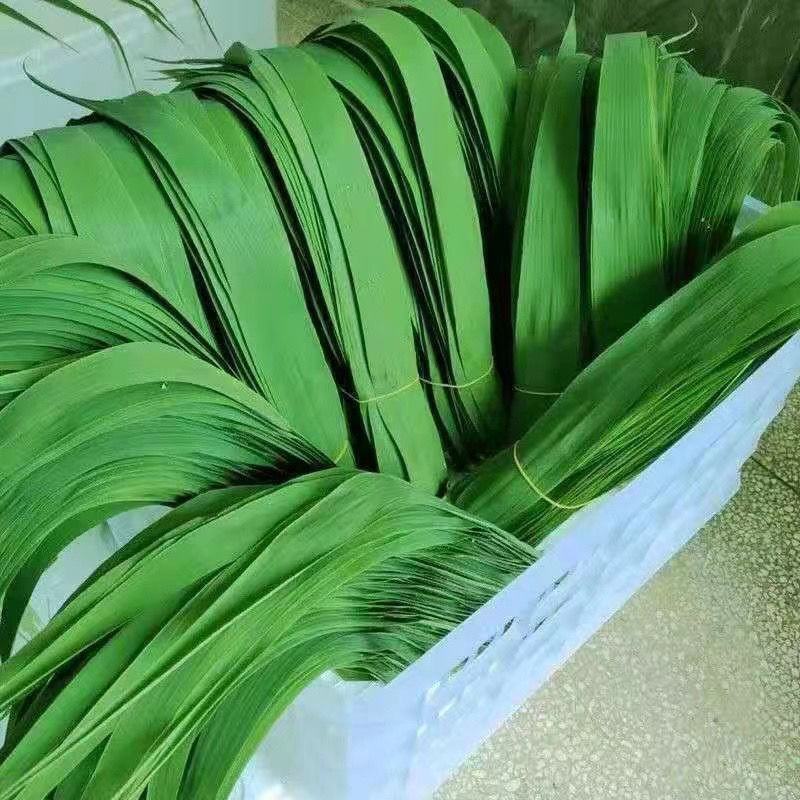 安徽芦苇叶粽叶新品，规格齐全，产地直供一手货源，