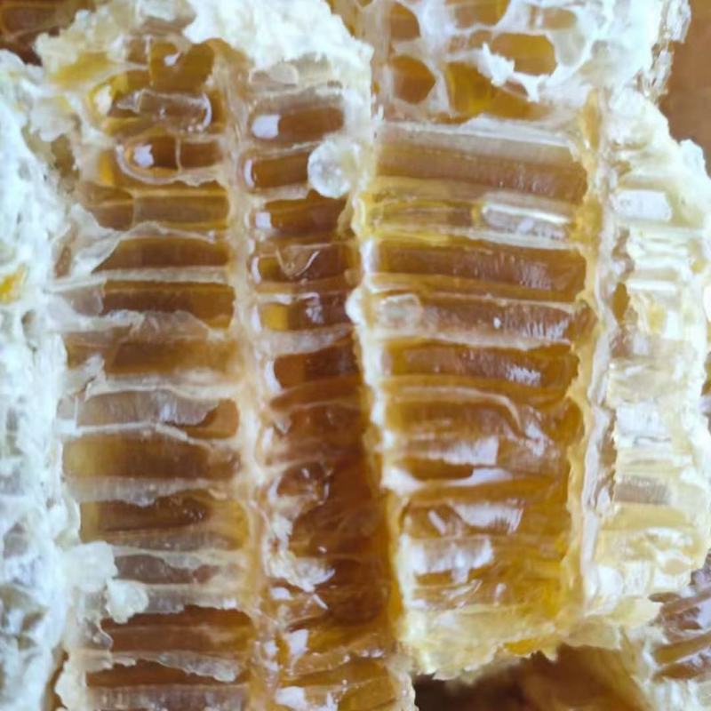 铁箱蜂巢蜜，一手产源，标价多少就是多少！