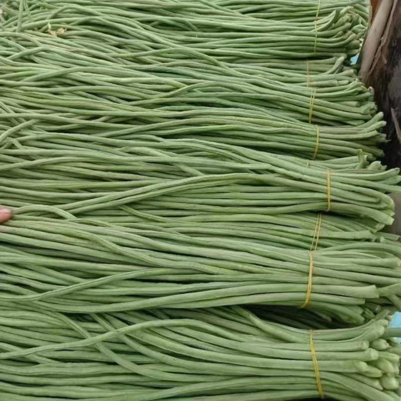 精品长豆角纯绿色蔬菜