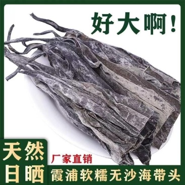 新货无沙散装福建霞浦海带头去尾厂家直销原产地发货可代发