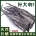 新货无沙散装福建霞浦海带头去尾厂家直销原产地发货可代发