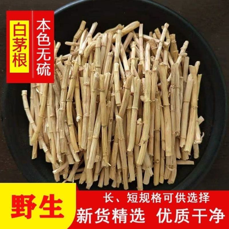 野生白茅根茶茅草根毛根水竹蔗海底椰凉茶食材甘蔗干毛草根茶