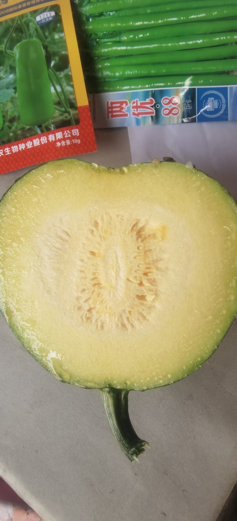 小南瓜种子甜栗香靑花皮黄心南瓜肉紧实香味浓结瓜多