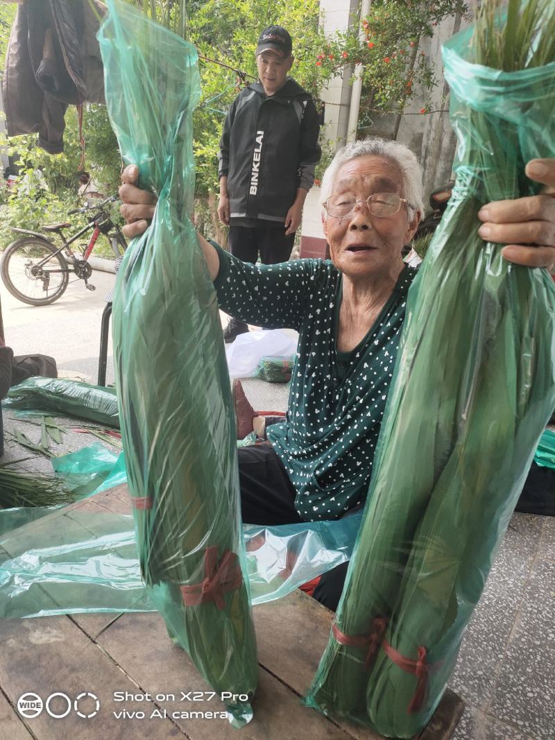粽子叶