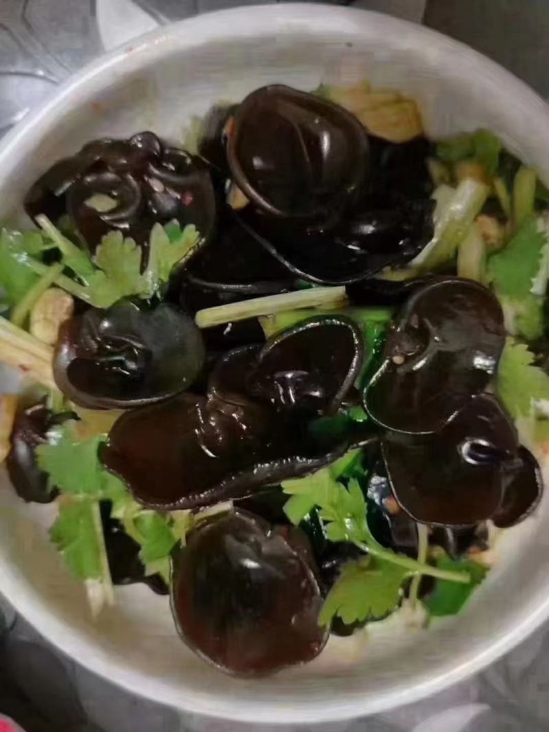秋木耳源头批发