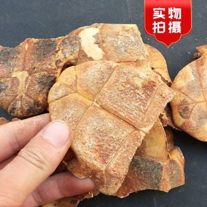 制龟板中药材乌龟壳醋龟板龟甲粉龟甲片中药炙龟板正品无硫醋