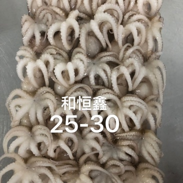 八爪鱼预制产品