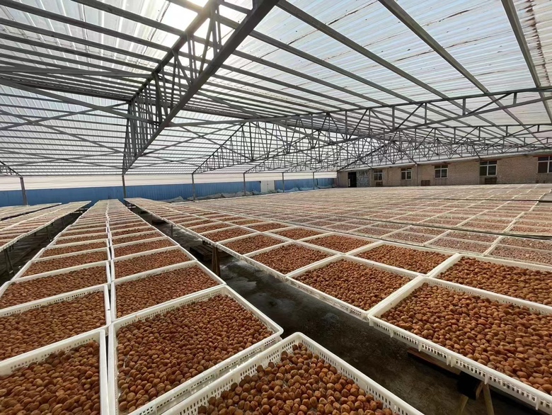 红梅果加工制品展示,包括梅干、梅酒、蜜饯等 红梅果加工制品展示