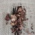 水白芨，扁白芨，圆白芨