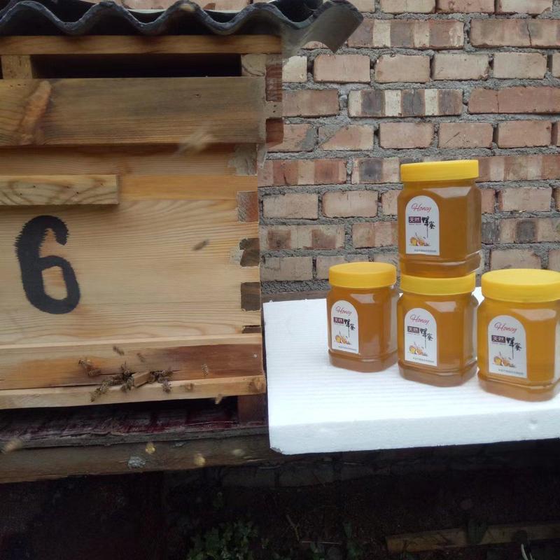 土蜂蜜，100元一斤，货真价实。