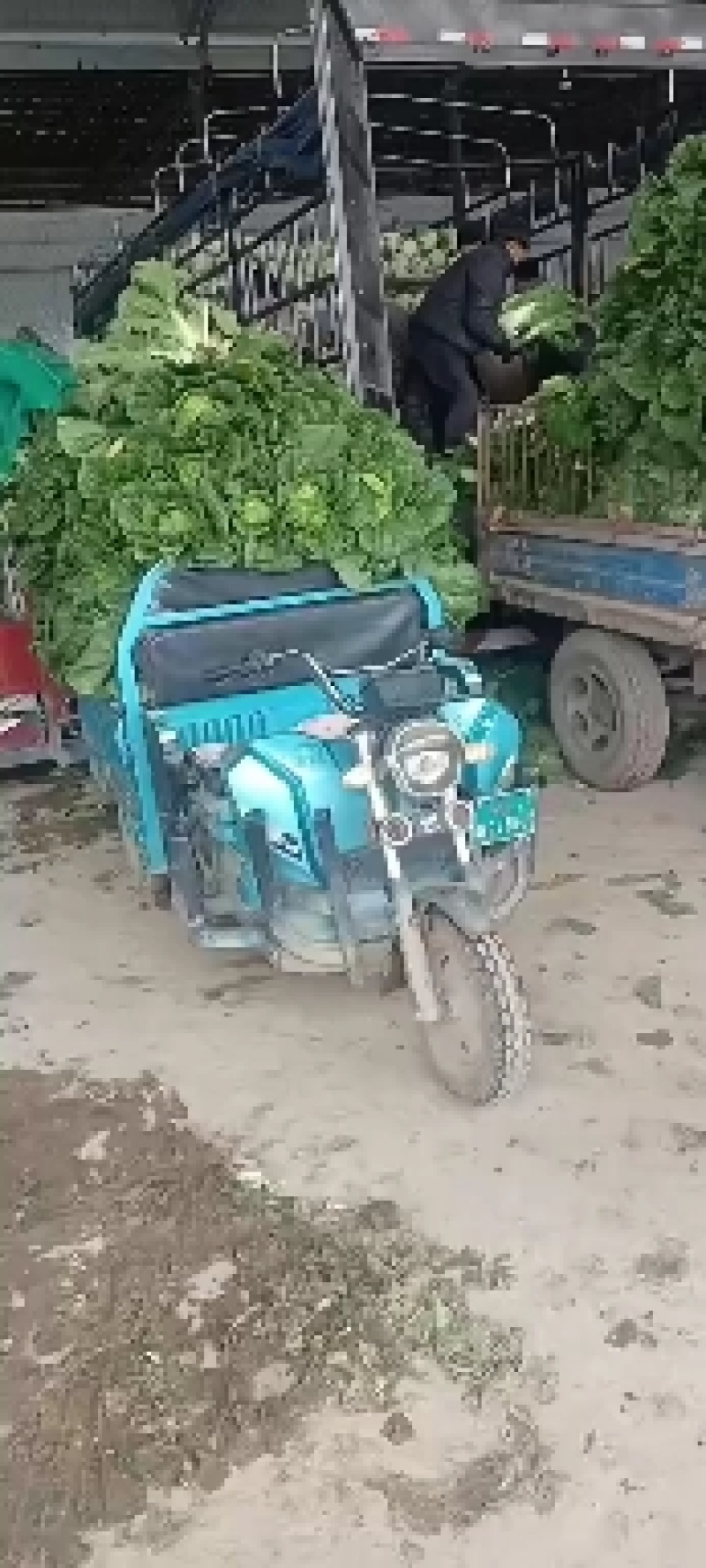 所有菜品有货