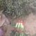 所有菜品有货