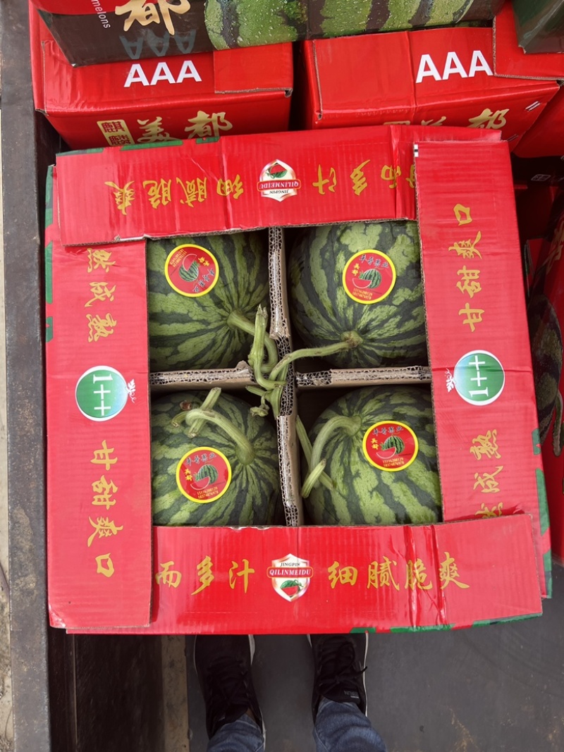 【推荐】开封通许精品西瓜美都8424麒麟西瓜大量上市