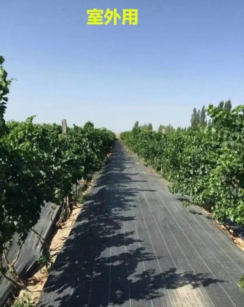 防草布除草布园艺防草布塑料编织布打孔防草布切片