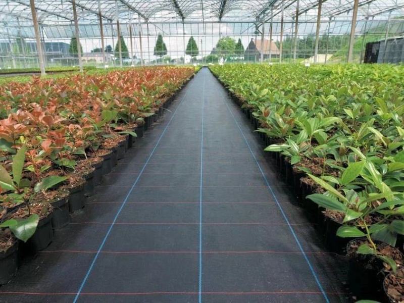 防草布除草布园艺防草布塑料编织布打孔防草布切片