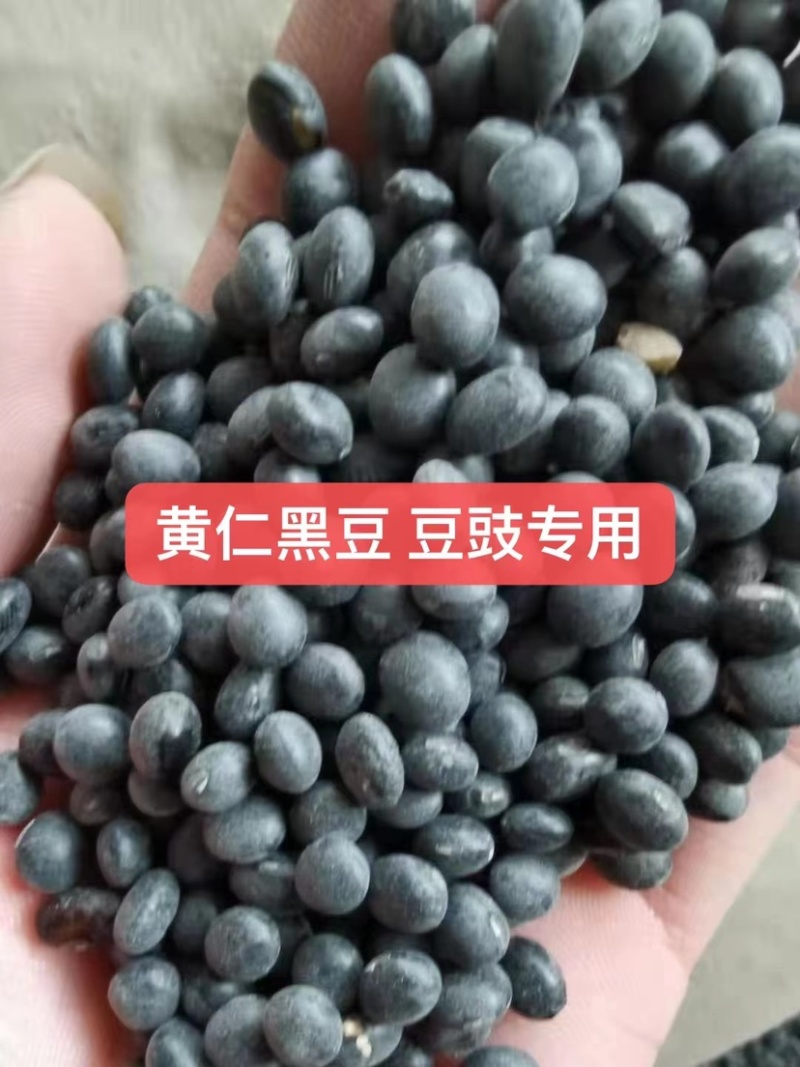各种品质黄豆豆腐豆油炸豆腐豆腐竹豆等