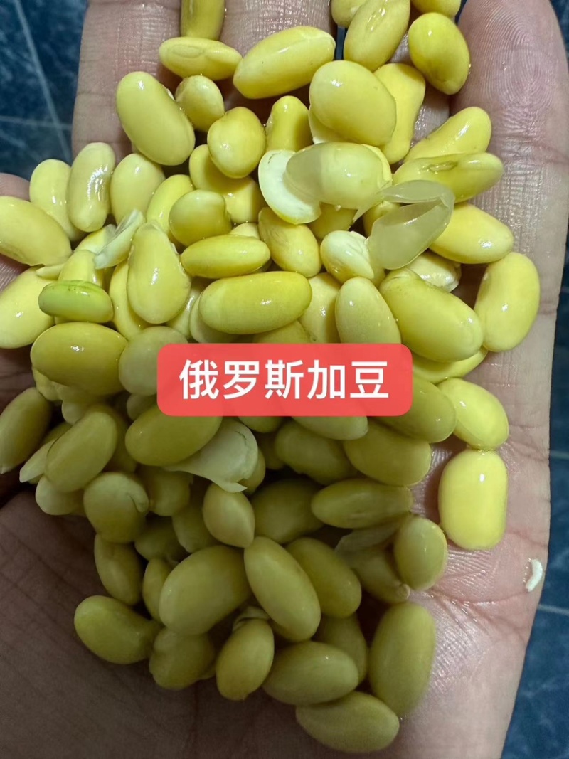各种品质黄豆豆腐豆油炸豆腐豆腐竹豆等