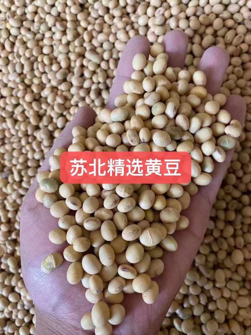 各种品质黄豆豆腐豆油炸豆腐豆腐竹豆等
