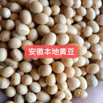 各种品质黄豆豆腐豆油炸豆腐豆腐竹豆等