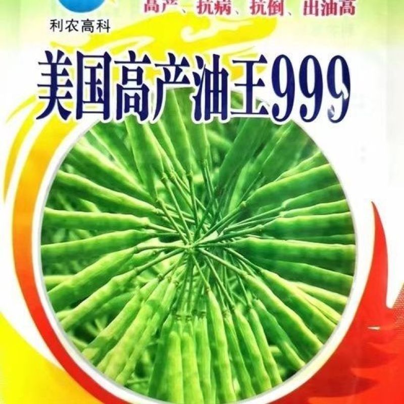 五彩油菜花种子花海景观绿化观赏大花彩色油菜花油菜籽