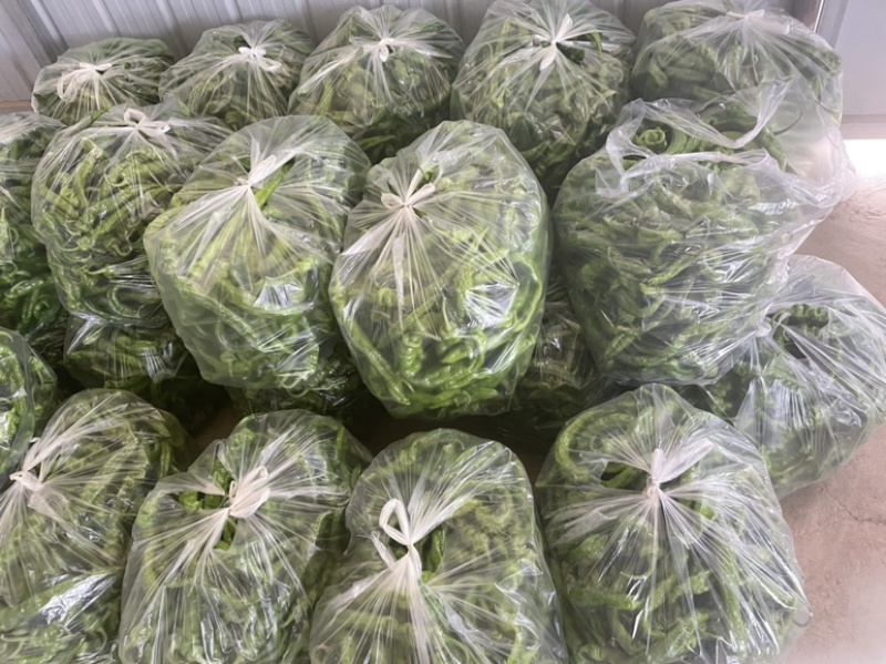 南瓜上市了，需要的朋友可以联系我