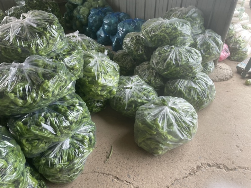 南瓜上市了，需要的朋友可以联系我