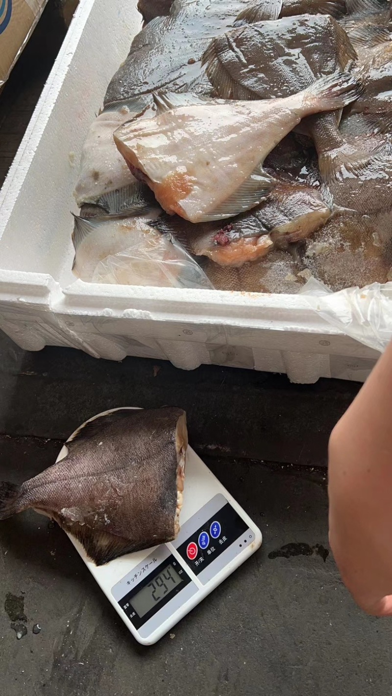 二去蝶鱼200/400规格一件19kg