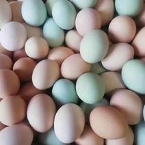 （热卖中）山东潍坊土鸡蛋货量充足对接全国欢迎客商采购对接