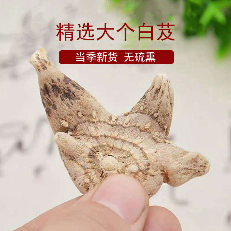 白芨云南精选白芨药用级正宗野生旱白芨三叉白及养生白芨粉中