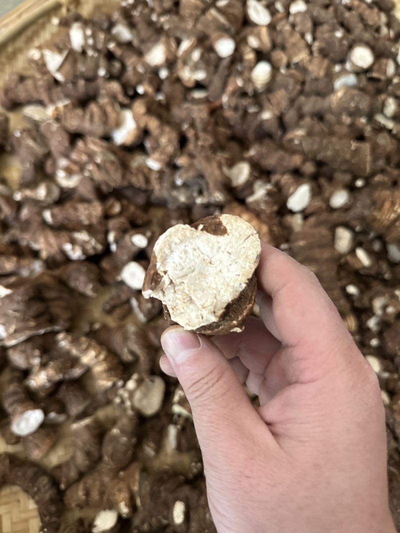 云南香格里拉滇重楼七叶一枝花粉质产地直供大货批发