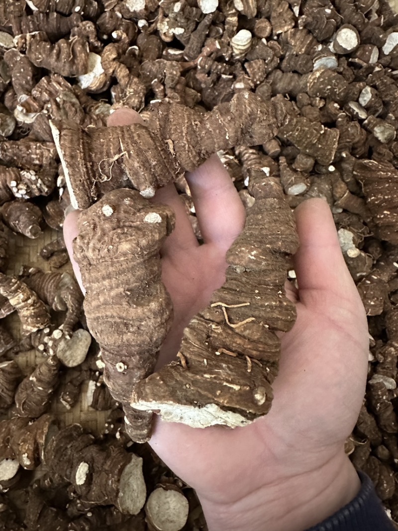 云南香格里拉滇重楼七叶一枝花粉质产地直供大货批发