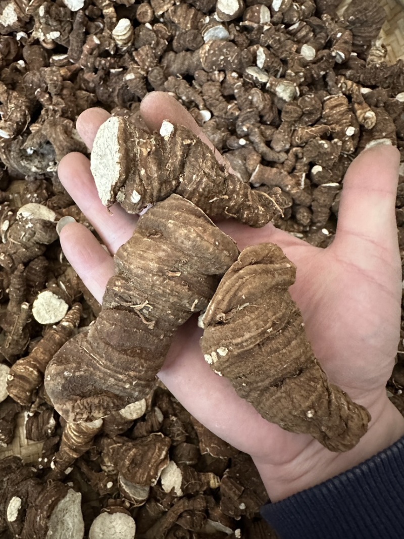 云南香格里拉滇重楼七叶一枝花粉质产地直供大货批发