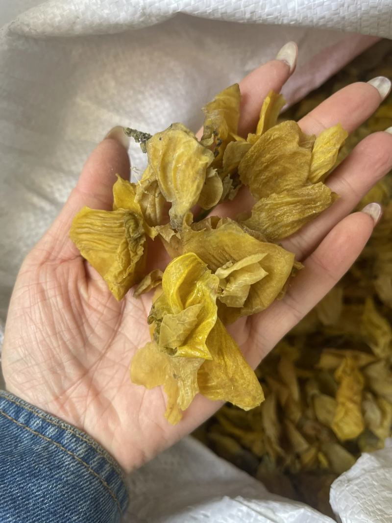 鸡内金正宗土鸡内金批发炒鸡内金干货内金片10g500g可