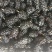 [标题]新鲜桑葚现摘无沙免洗泡水即食颗粒饱满孕妇泡酒