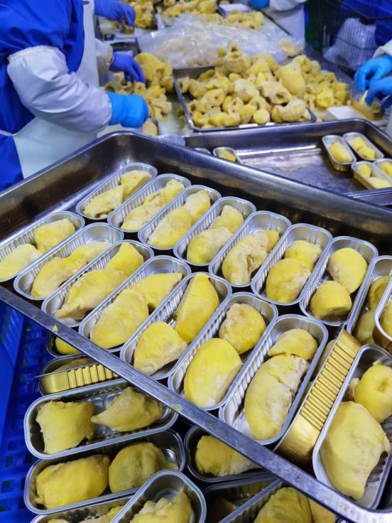 100克烤榴莲半成品烧烤品金枕头榴莲