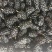 [标题]新鲜桑葚现摘无沙免洗泡水即食颗粒饱满孕妇泡酒